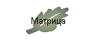 Матрица