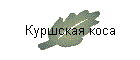 Куршская коса