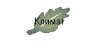 Климат